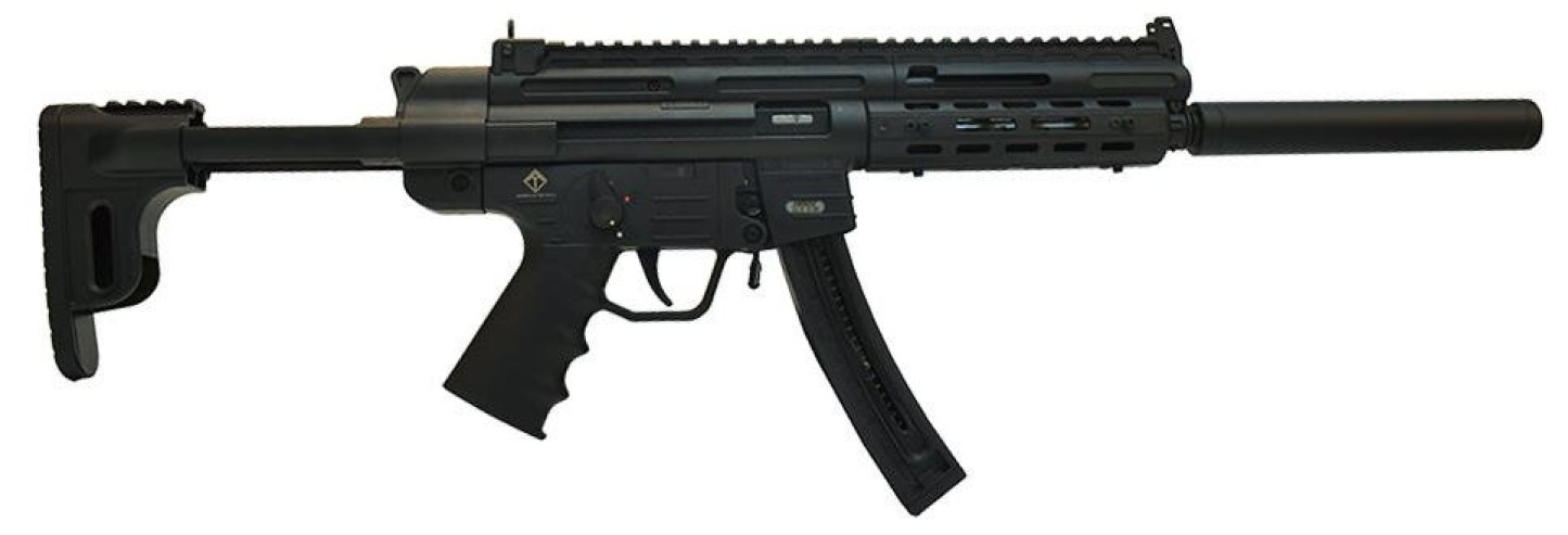 atgerggsg1622mle06c