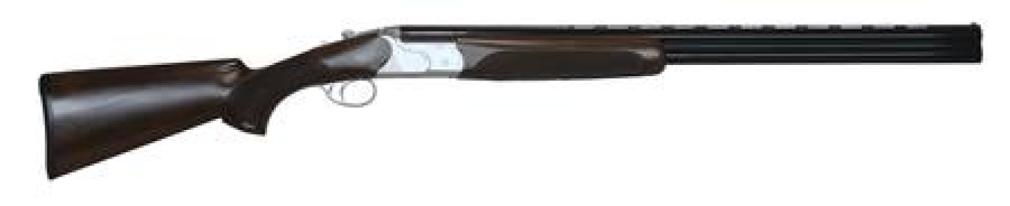 CZ06473