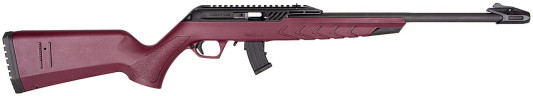 tm22stanbc18f901