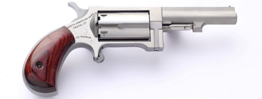 NorthAmericanArmsSidewinder2.5InchBarrel