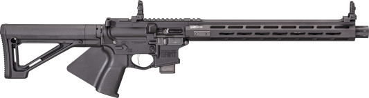 saintcae838