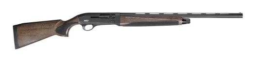 tsrapiiwal2e18