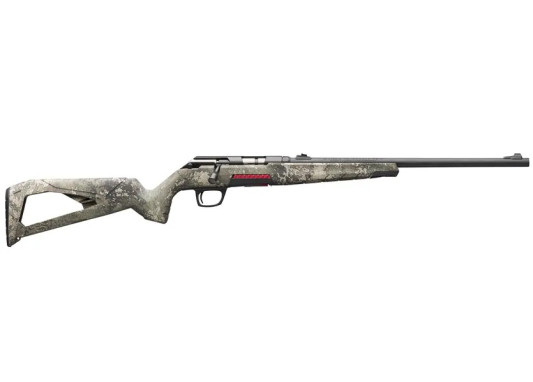 xperttt2482